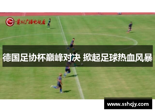 德国足协杯巅峰对决 掀起足球热血风暴 德国足协杯巅峰对决 掀起足球热血风暴