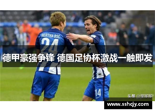 德甲豪强争锋 德国足协杯激战一触即发 德甲豪强争锋 德国足协杯激战一触即发