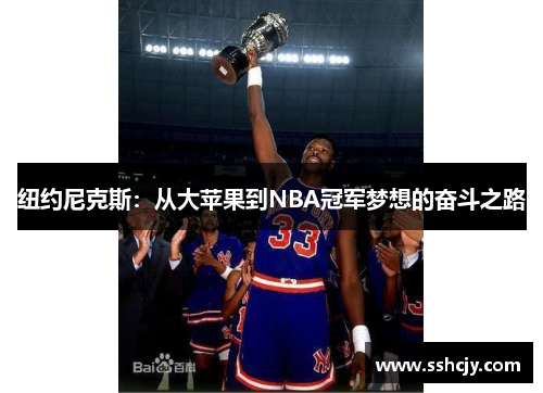 纽约尼克斯:从大苹果到NBA冠军梦想的奋斗之路 纽约尼克斯:从大苹果到NBA冠军梦想的奋斗之路