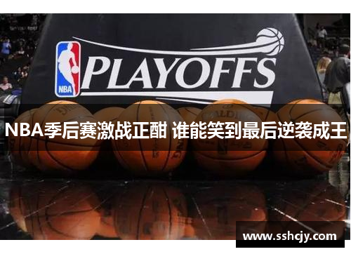NBA季后赛激战正酣 谁能笑到最后逆袭成王 NBA季后赛激战正酣 谁能笑到最后逆袭成王